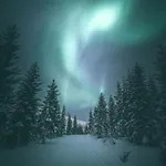 شقة Aurora
